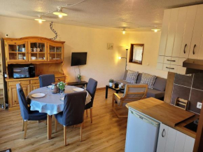 Duplex 3 pièces aux Gets, proche pistes avec parking et wifi - FR-1-598-23 Les Gets